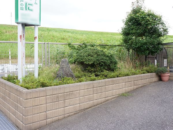 緑豊かな中庭風景