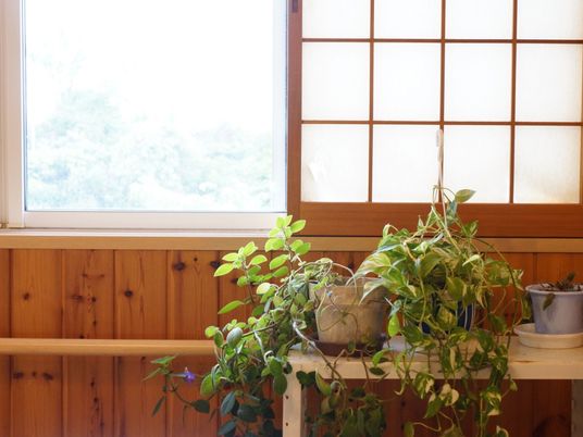 和風の明るい窓辺