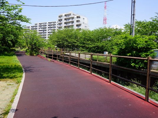 緑豊かな散歩道