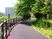 緑あふれる散歩道
