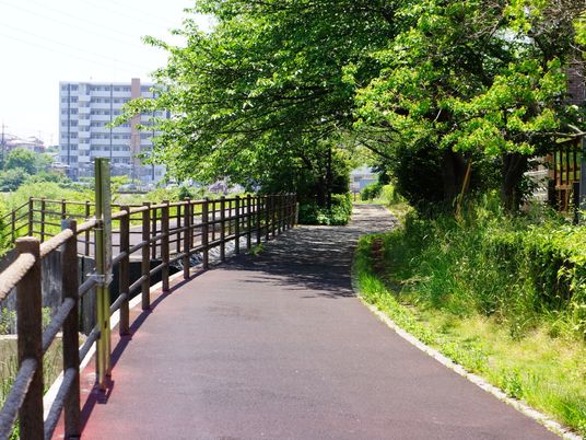 緑あふれる散歩道