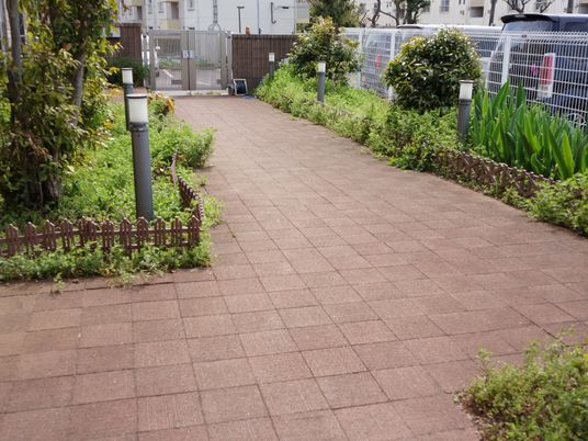 整備された施設の中庭