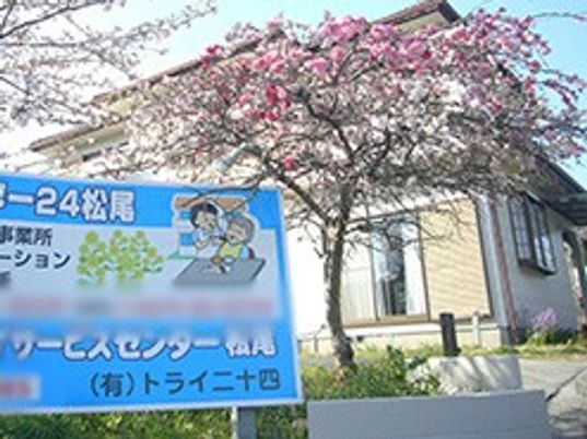 桜と看板
