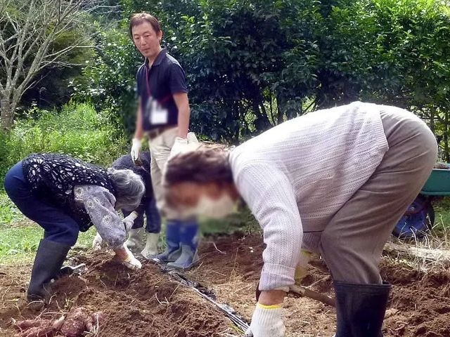 屋外作業をする人々 庭 庭での作業風景です。自然に囲まれた環境が気持ちよく、作業がはかどります。