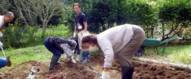 屋外作業をする人々 庭 庭での作業風景です。自然に囲まれた環境が気持ちよく、作業がはかどります。