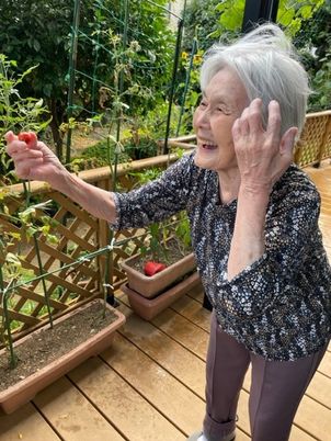 笑顔のおばあさんとトマト栽培