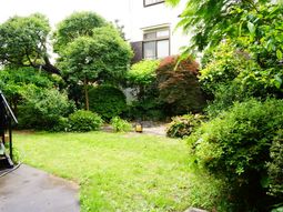 緑豊かな中庭の様子