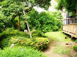 豊かな緑の庭園