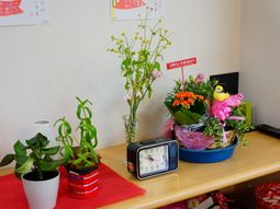 植物と時計のある棚