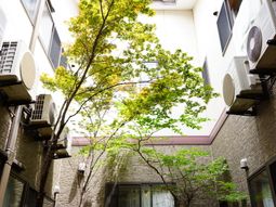 建物と緑の中庭