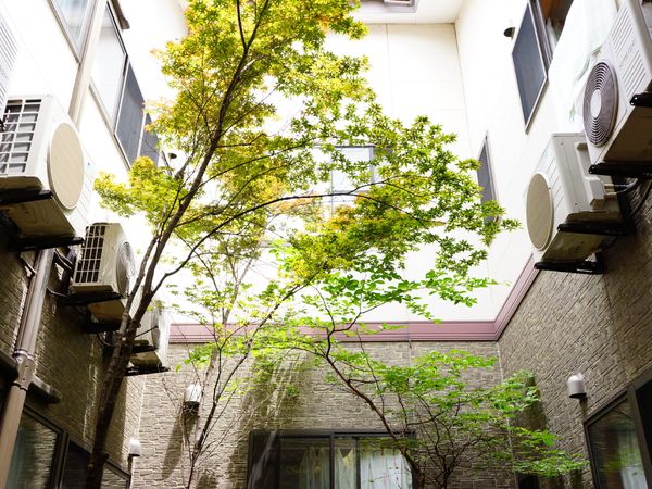 建物と緑の中庭