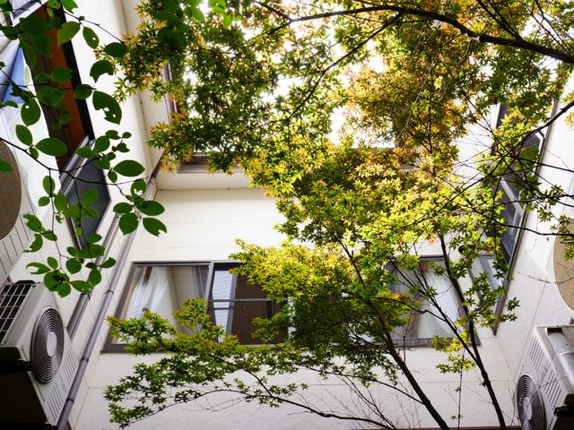 新緑が映える建物外観 中庭の木漏れ日 窓辺には緑が豊かで、自然光が差し込む明るい建物です。穏やかな環境で、心安らぐ毎日を送ることができるでしょう。