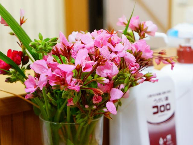 ピンクの花がある室内 花 ピンク色の生き生きとした花が空間に彩りを与え、癒しの雰囲気を醸します。ここでは心地よい日々を過ごせるよう、心配りがされています。