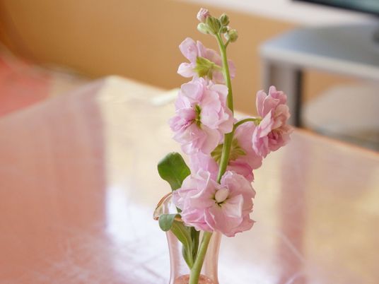 ピンクの花がある部屋
