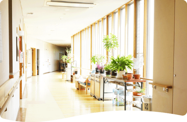 自然光が差し込む廊下