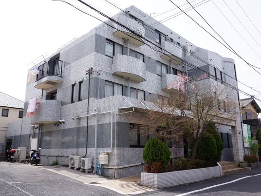 春の彩りある建物外観