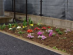 色とりどりの花の花壇