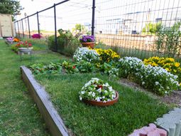 色とりどりの花が咲く庭