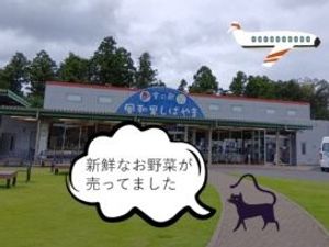 施設の外観前の芝生  