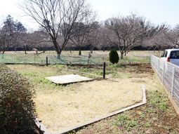 広々とした中庭