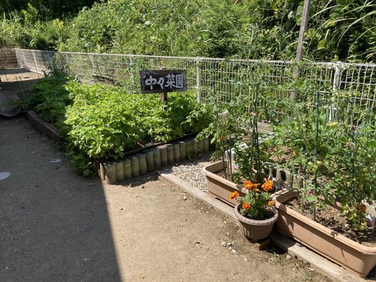 家庭菜園がある庭