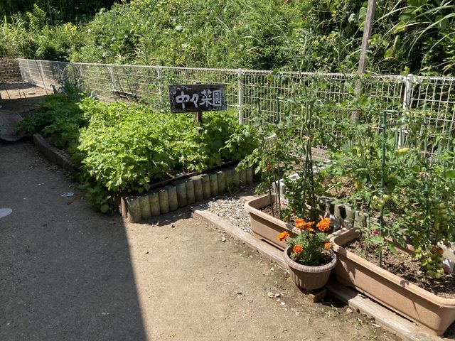 家庭菜園がある庭 庭 きれいな花と野菜が育つエリアです。リフレッシュできる場所として働く方へおすすめです。