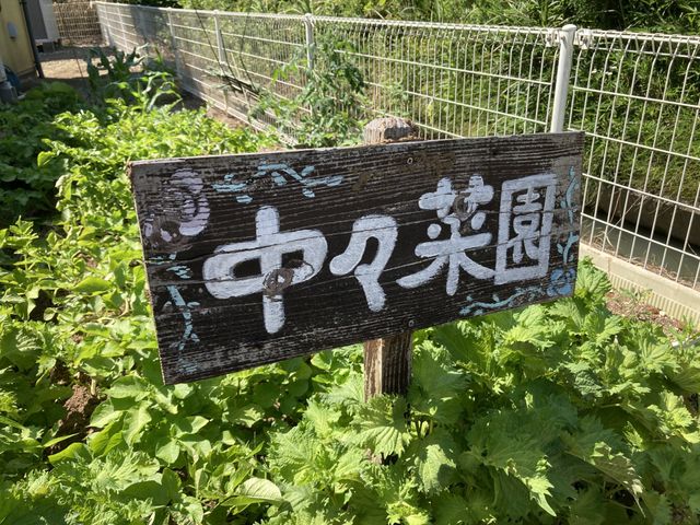 季節の野菜が育つ菜園 庭 自然豊かな菜園で季節の野菜と触れ合いながら、リフレッシュできる空間です。
