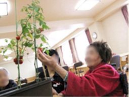 笑顔の人とトマトの木