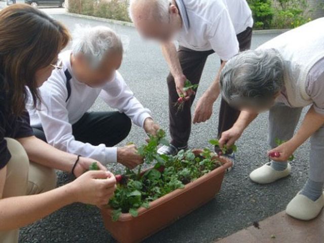 庭仕事をする人々 レクリエーション 共に植物の手入れを楽しむ様子です。和やかな雰囲気でご利用者同士の交流が育まれています。