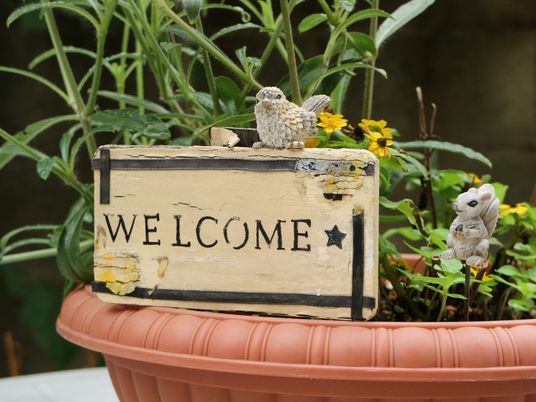 ウェルカムボードと植物