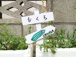 看板と緑の植物
