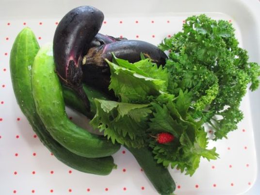 新鮮な野菜の盛り合わせ
