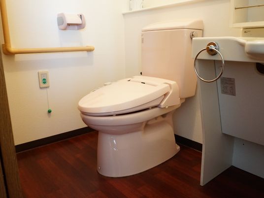 手すり付きの清潔なトイレ