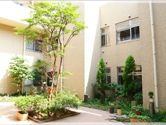 中庭の植栽と建物  
