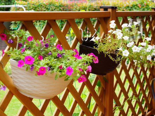 中庭のカラフルな花壇