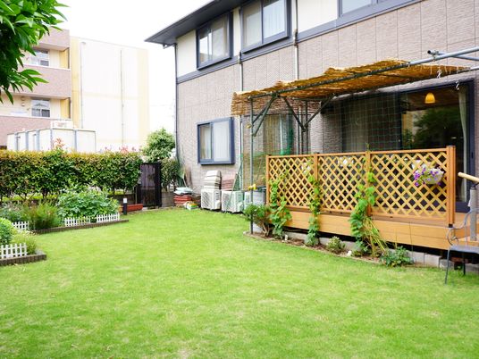 緑豊かな庭の風景