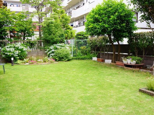 緑豊かな施設中庭