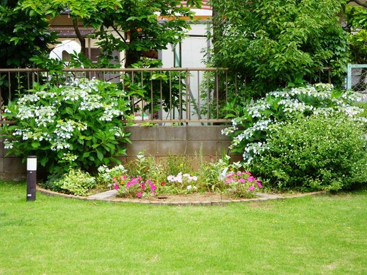 緑豊かな施設の庭