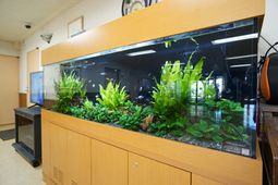 緑豊かな水槽と待合室