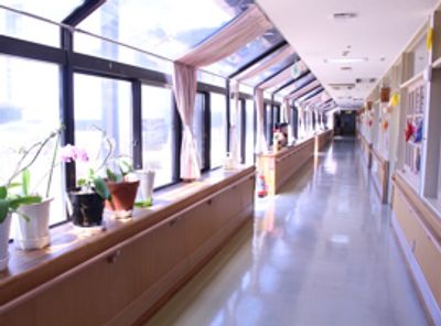日差しが差し込む廊下