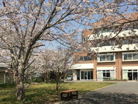 桜に囲まれた施設外観  