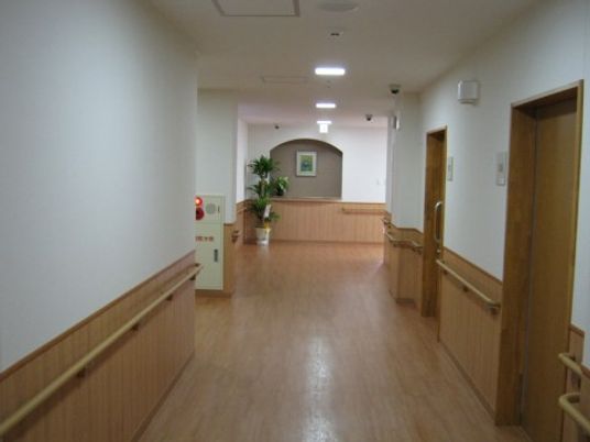 清潔感ある明るい廊下