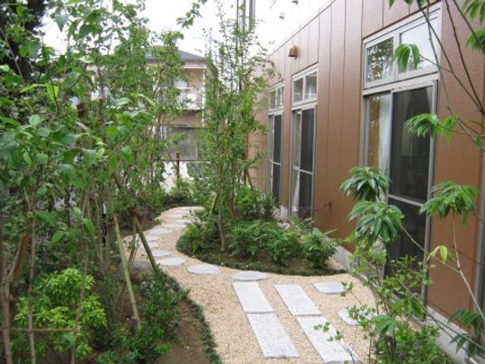 緑豊かな小道の風景