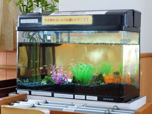 和やかな雰囲気のアクアリウム