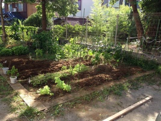 手入れされた中庭の植物