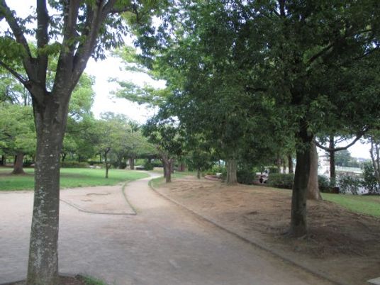 木々に囲まれた静かな散歩道