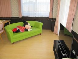 明るい部屋と緑のソファ