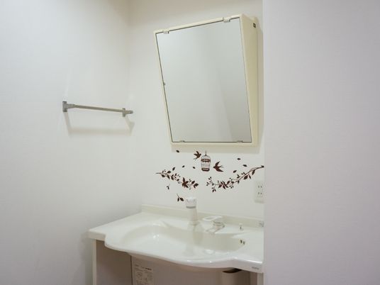 洗面台の鏡は大きく見やすい。タオル掛けがあるので、使いやすく便利である。コンセントが二つあるので、ドライヤーやひげそりなどにも使える。