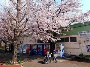 安心感のある外観