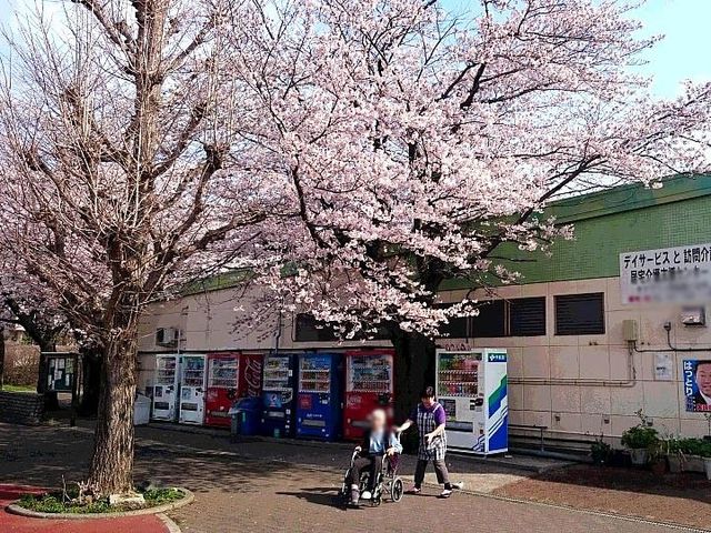 安心感のある外観 外観 落ち着いた位置に佇む建物は、春には美しい桜が咲き、多くの方が楽しめる環境にあります。
